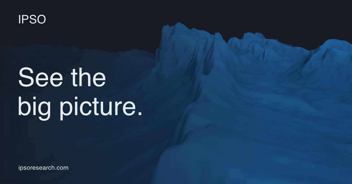 See the big picture. | IPSO